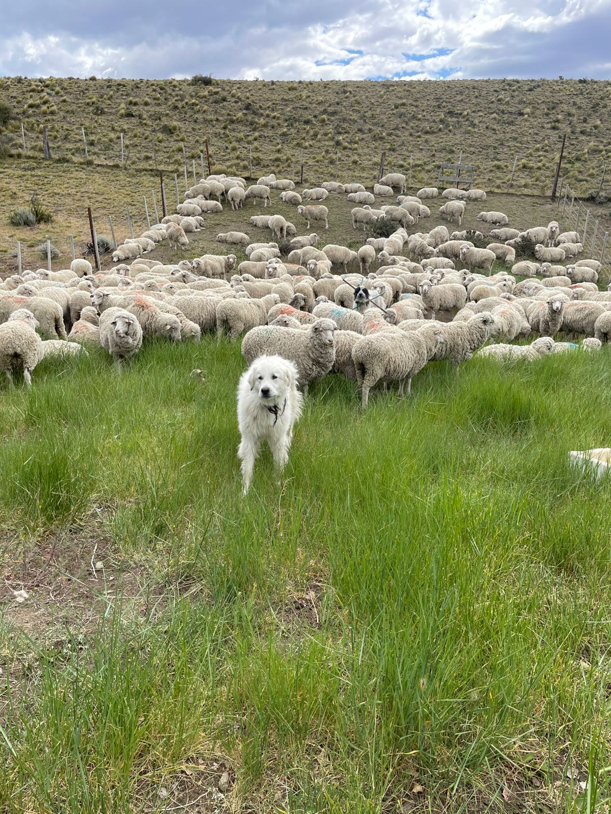 Atardecer en la estancia
